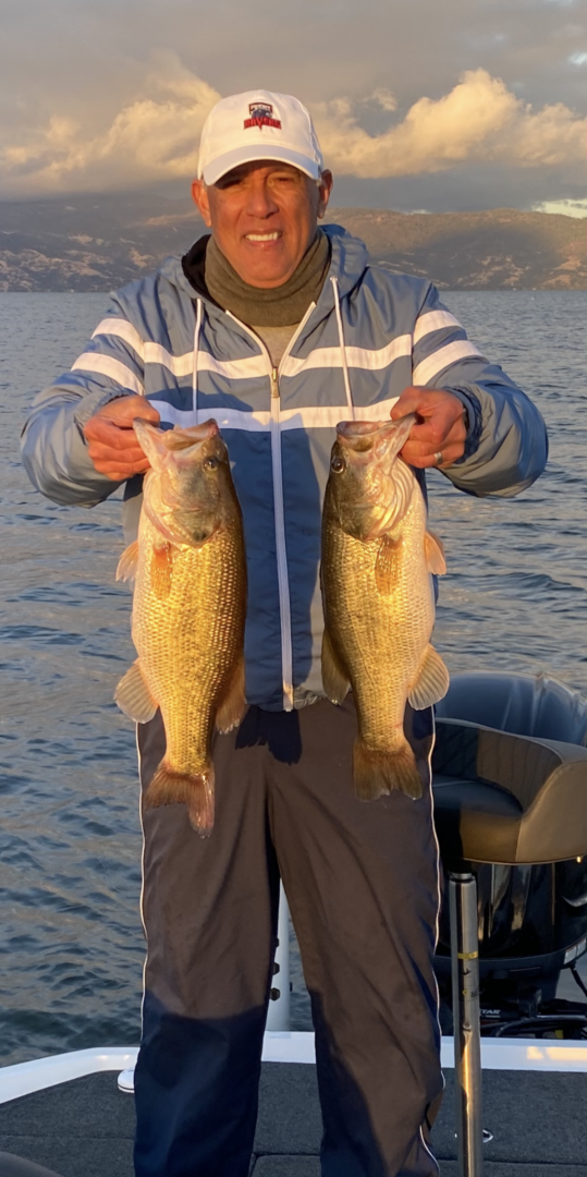 Man holding two large bass fish.